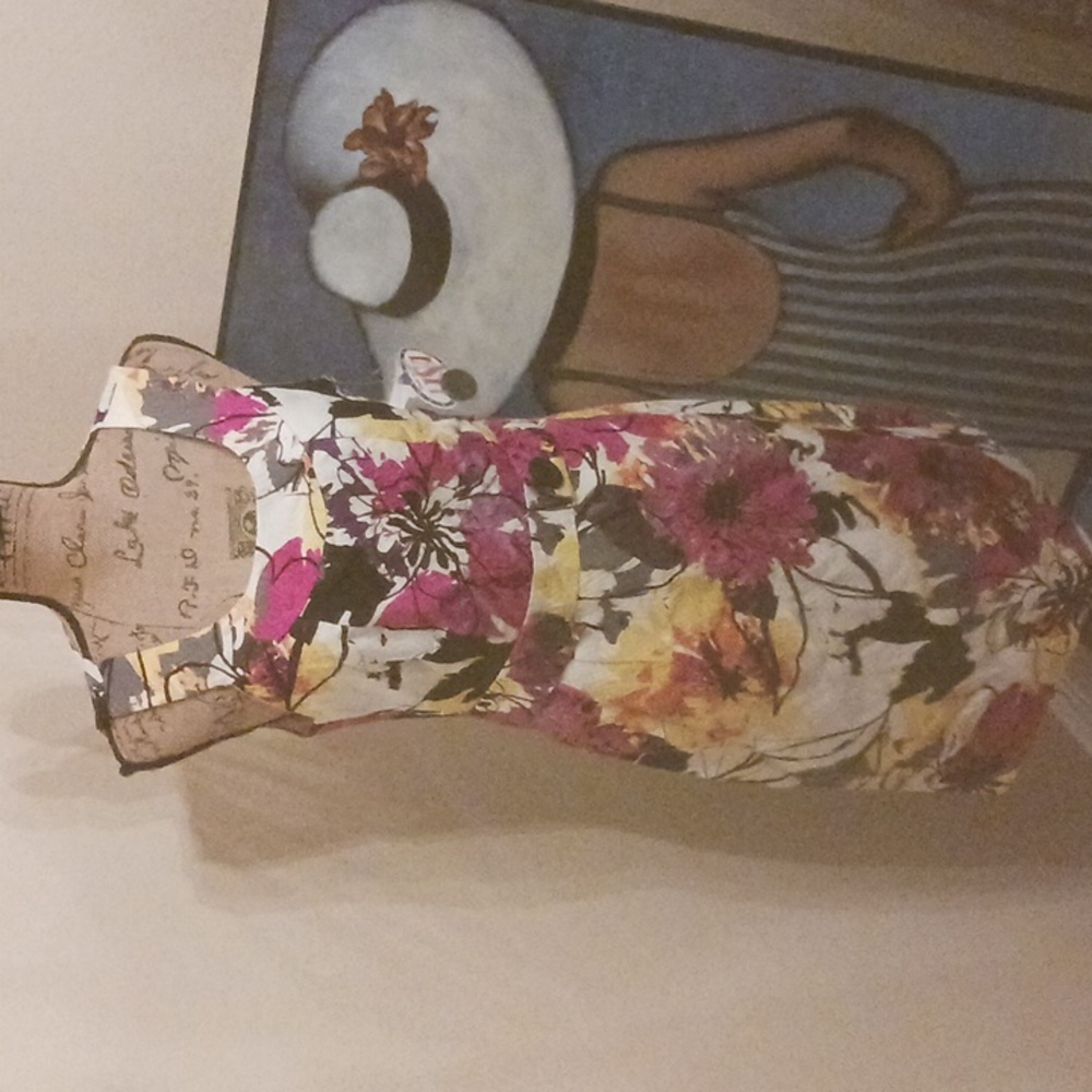 NWT Amanda Lane Floral Tea Party Dress